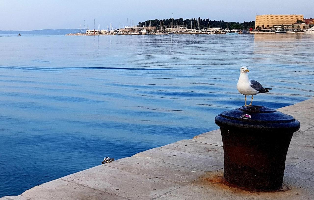 Tales Of Split - 100 Meters From The Seafront Apartman Kültér fotó